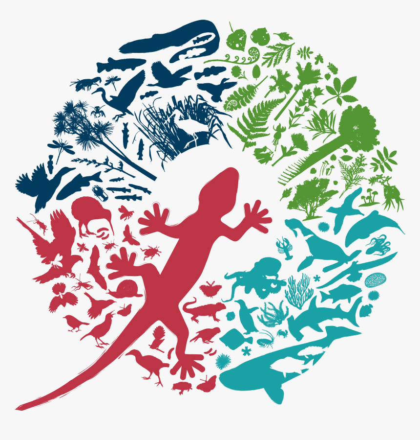 Conservation Week 2018, HD Png Download, Free Download