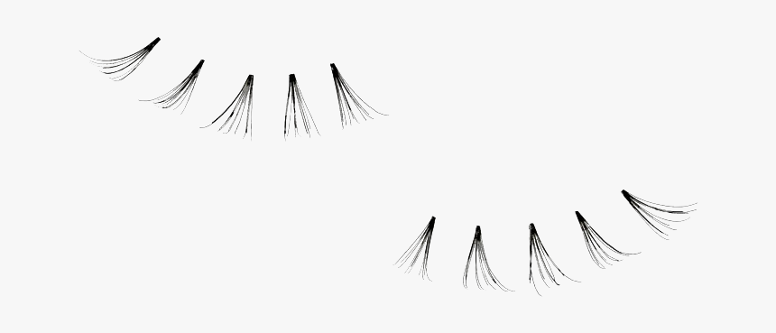 Eyelash Transparent Image - Individual Lashes Transparent Background, HD Png Download, Free Download