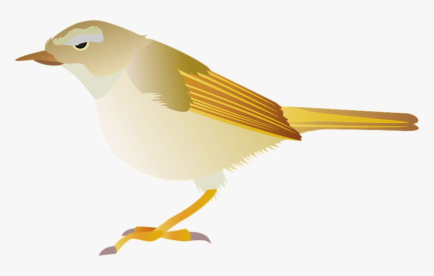 Japanese Bush Warbler Bird Clipart - Canary, HD Png Download, Free Download