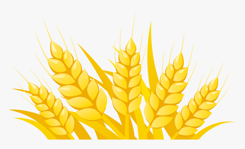 Wheat Clipart Vector - Autumn Objects, HD Png Download, Free Download