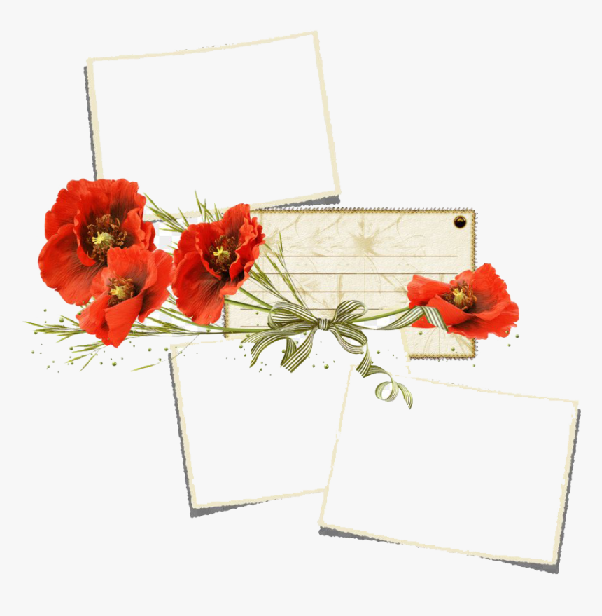 Poppy Flower Frame Png Transparent - Мак Картинка Без Фона, Png Download, Free Download