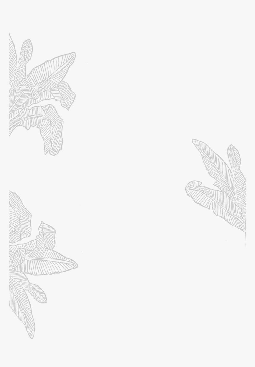 Leafy-background, HD Png Download, Free Download