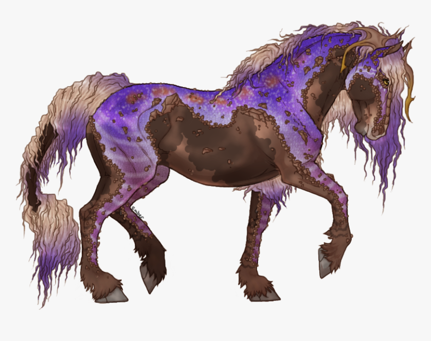 Picture - Friesian Horse, HD Png Download, Free Download