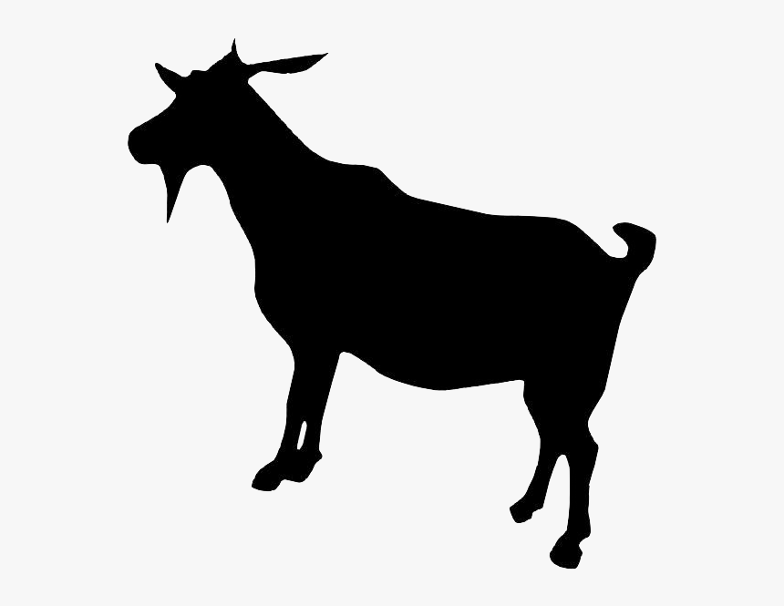 Boer Goat Dorper Cattle - Goat Side Profile Clip Art, HD Png Download, Free Download