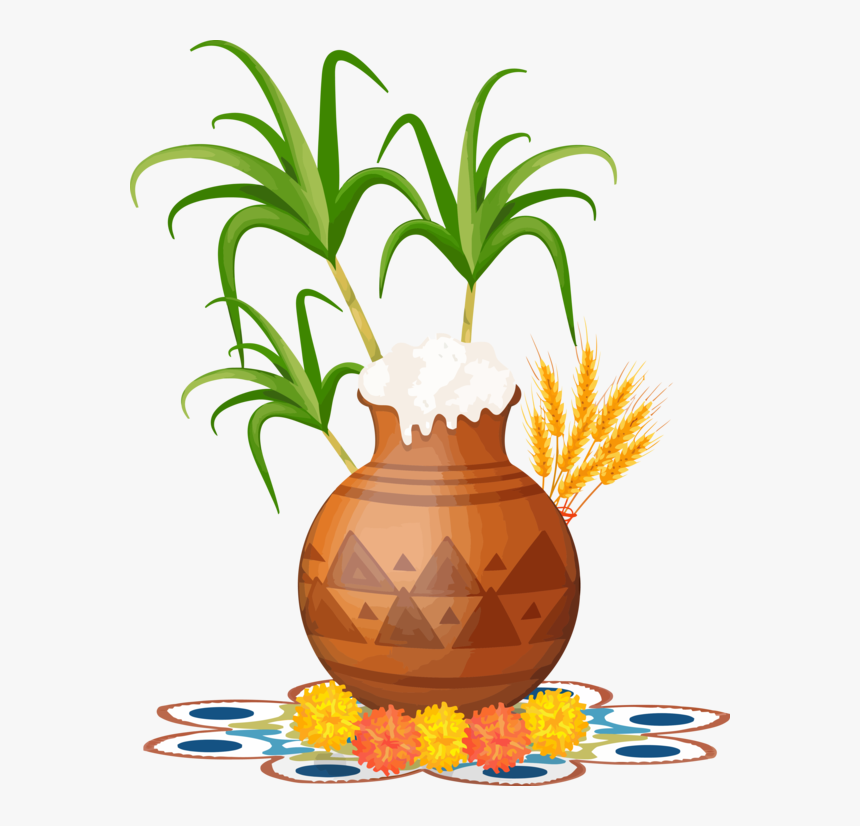 Transparent Pongal Ananas Plant Pineapple For Thai - Good Morning Happy Pongal, HD Png Download, Free Download