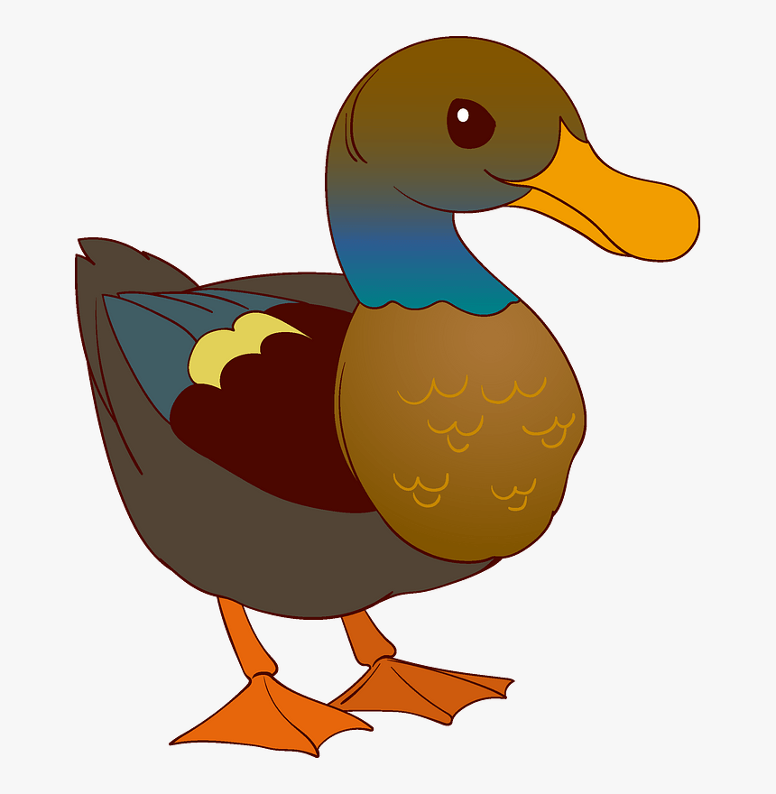 Duck Clipart - Seaduck, HD Png Download, Free Download