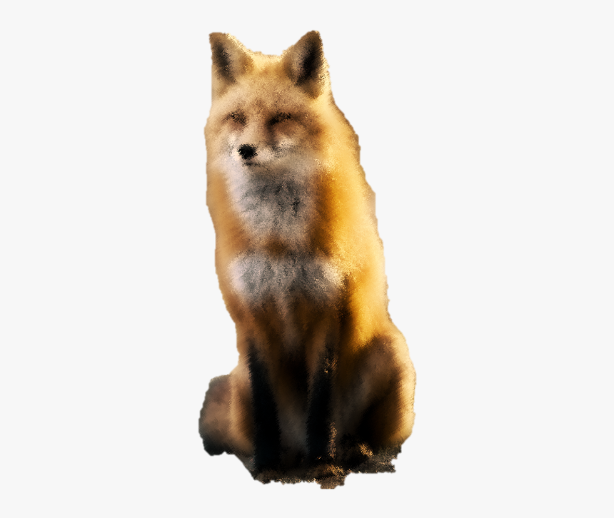 Rollo"s Profile Picture - Red Fox, HD Png Download, Free Download