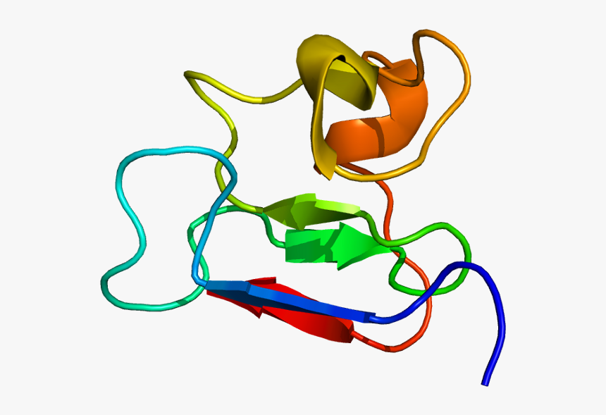 Protein Pml Pdb 1bor - Structure Promyelocytic Leukemia Protein, HD Png Download, Free Download