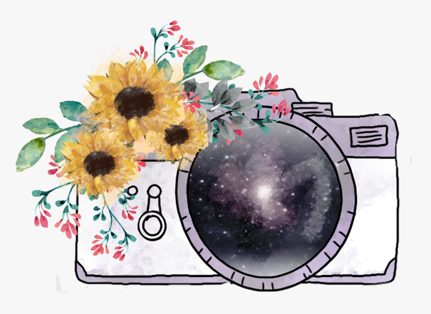 #camera #sunflower #sunflowers - Sunflower, HD Png Download, Free Download