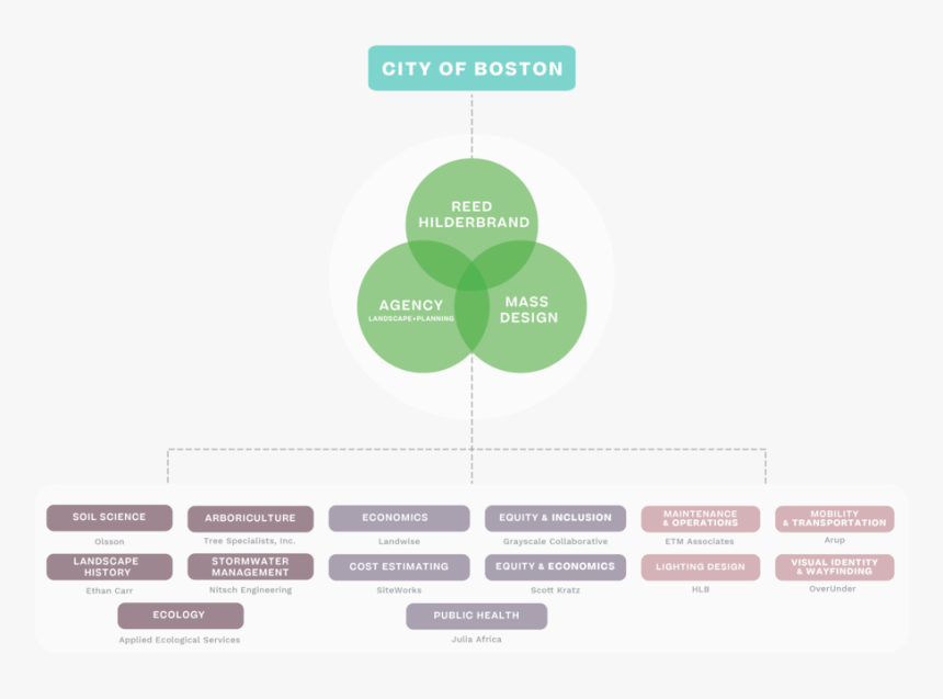 Fp Team Org Chart-01[2], HD Png Download, Free Download