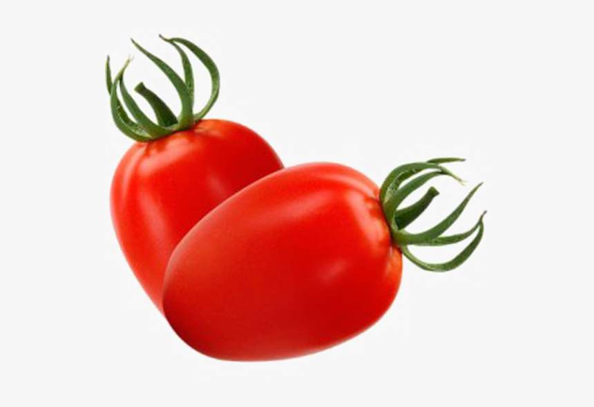 Помидор без фона. Помидоры новичок. Помидор новичок на белом фоне. Семена томатов новичок на белом фоне. Красный помидор PNG большой.