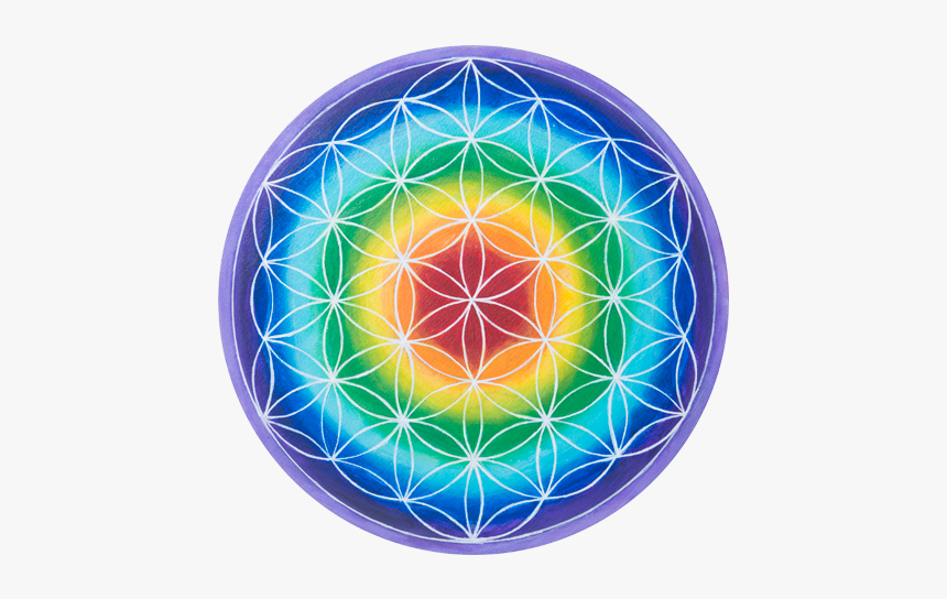 Circle, HD Png Download - kindpng