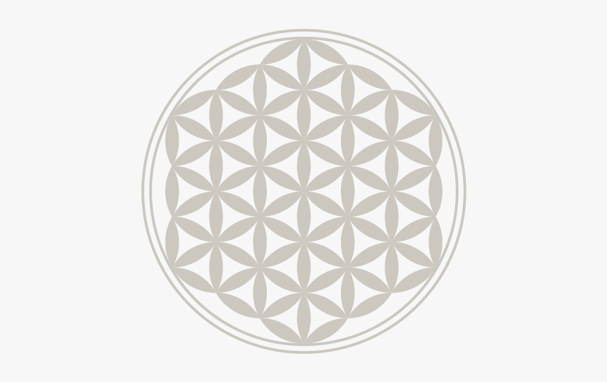 Flower Of Life Color, HD Png Download - kindpng