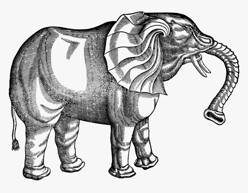 Vintage, Elephant, Line Art, Animal, Pachyderm, Tusks - Conrad Gessner Elephant, HD Png Download, Free Download