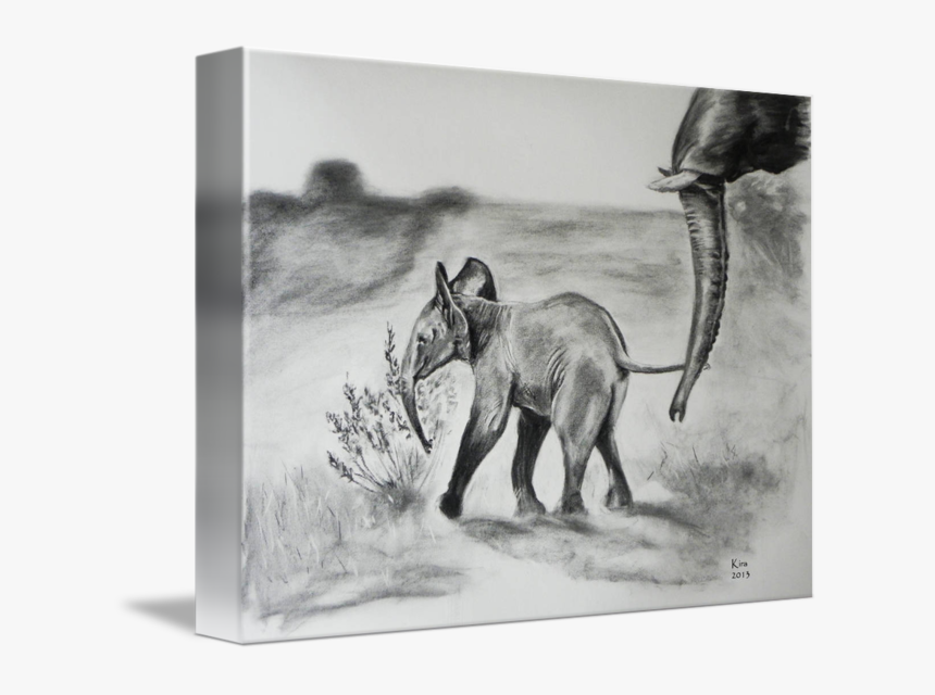 Baby Elephant Charcoal Drawing - Elephant Charcoal Drawing, HD Png Download, Free Download