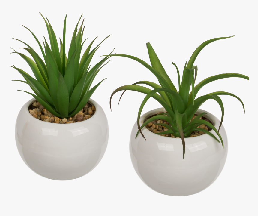 Flowerpot, HD Png Download, Free Download