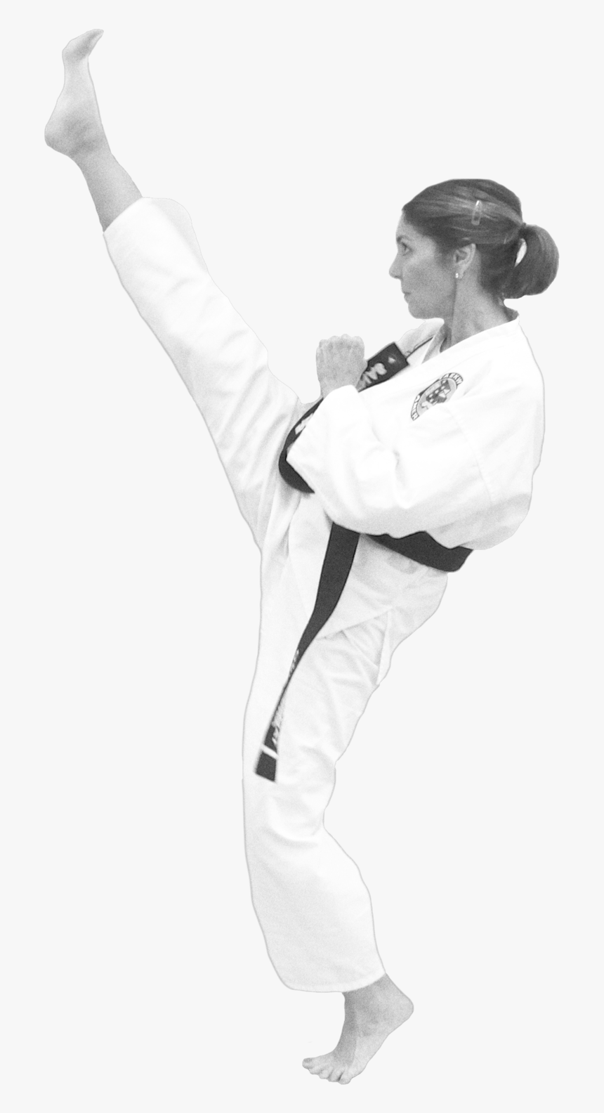 Martial Arts Png, Transparent Png, Free Download