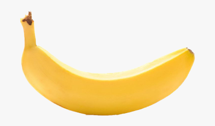 Gonna Tell My Kids This Is A Banana, HD Png Download, Free Download