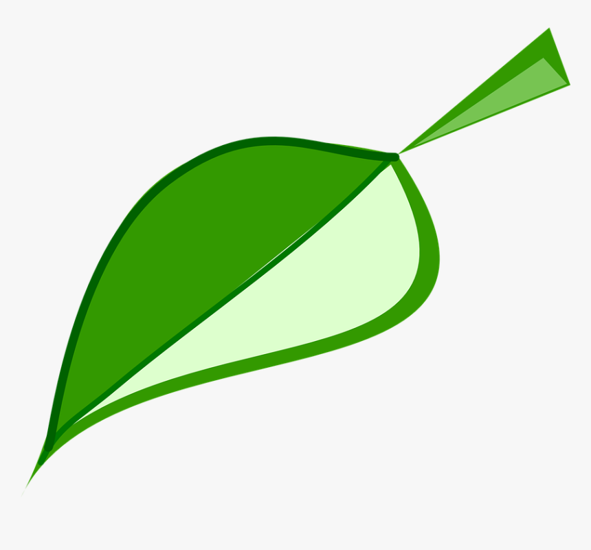 Leaf Green Environment - Folha Png Fundo Transparente, Png Download, Free Download