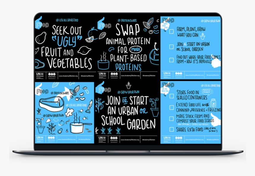 Anatomyofactionfood - Led-backlit Lcd Display, HD Png Download, Free Download