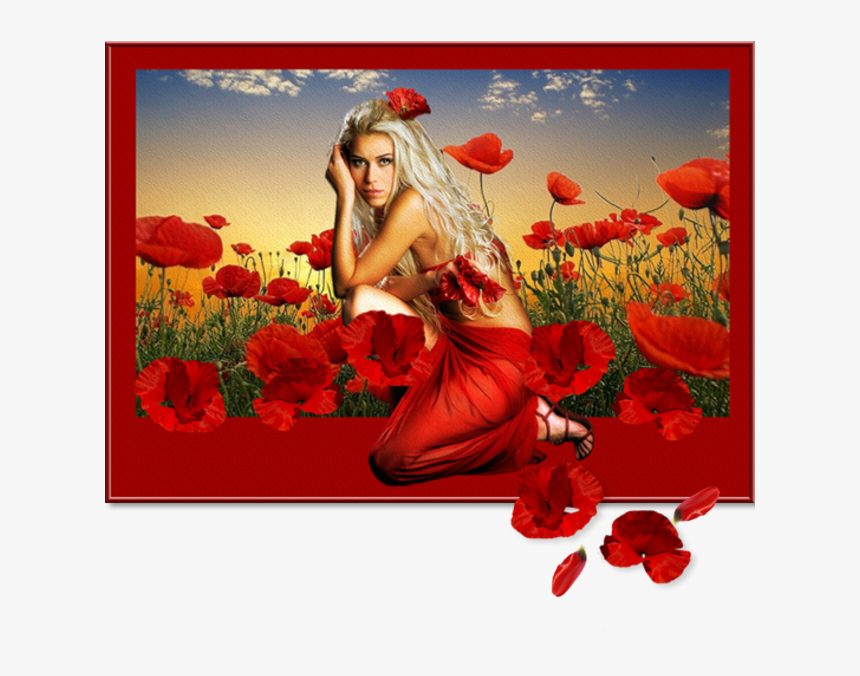 Poppies And Women - Greeting Card, HD Png Download, Free Download