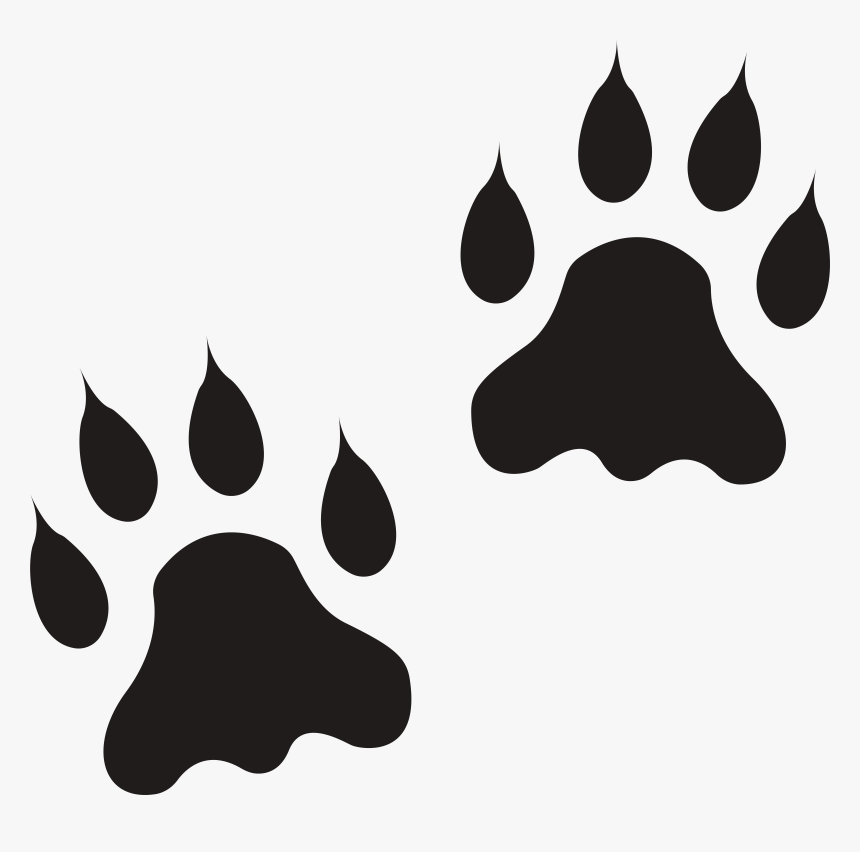 Lion Paw Clipart Jpg Black And White Download Lion, HD Png Download, Free Download