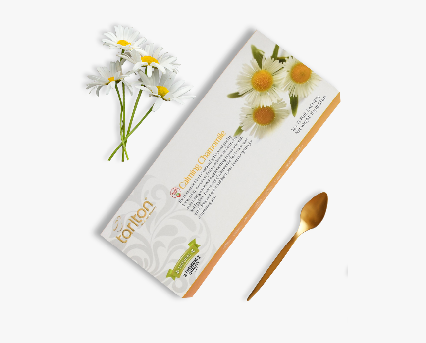 Dummy - Camomile, HD Png Download, Free Download