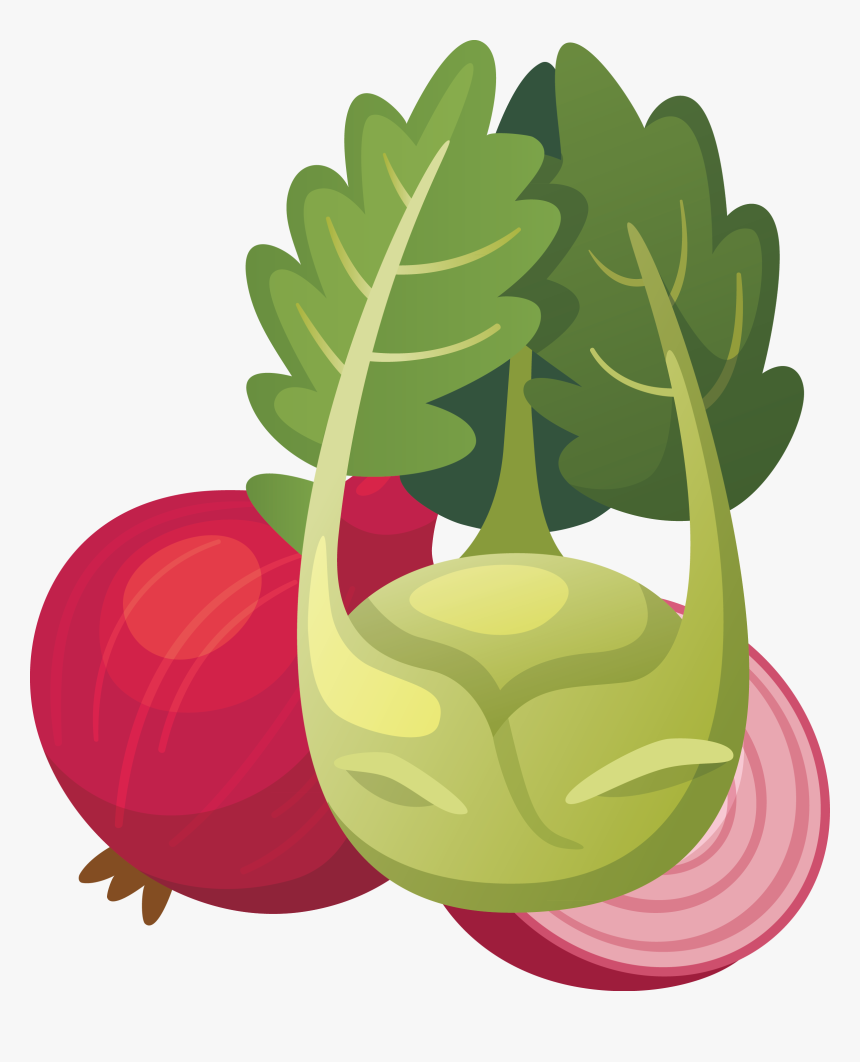 Radish Vector Turnip - Tranh Ve Rau Ăn Lá, HD Png Download, Free Download