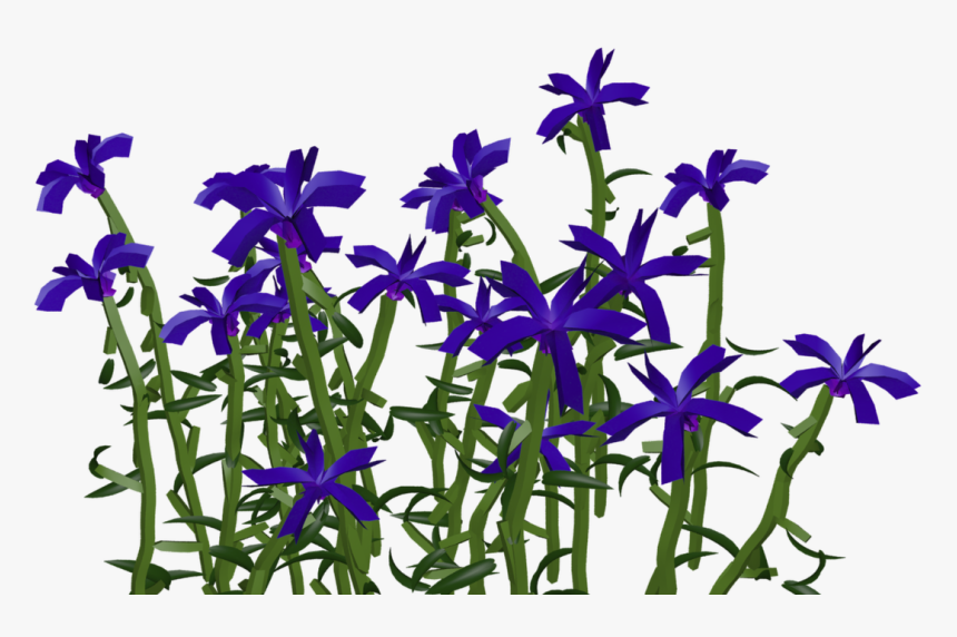 Iris Clipart , Png Download - Iris, Transparent Png, Free Download