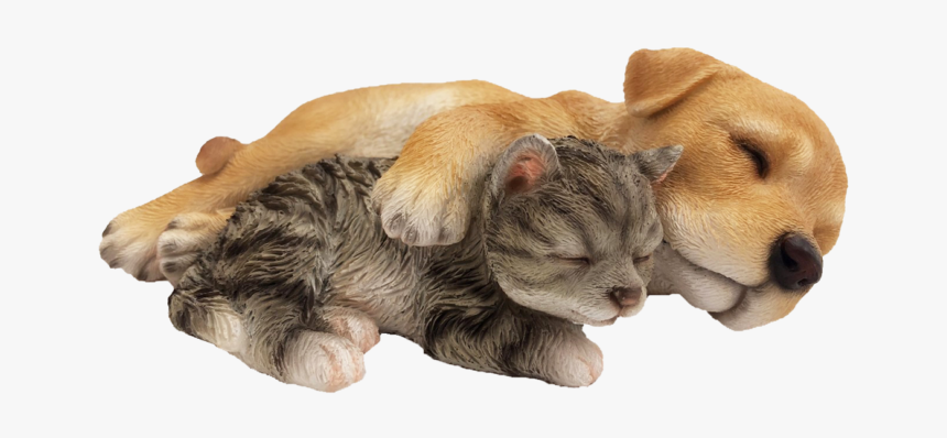 Labrador Pup With Kitten Sleeping - Paw, HD Png Download, Free Download