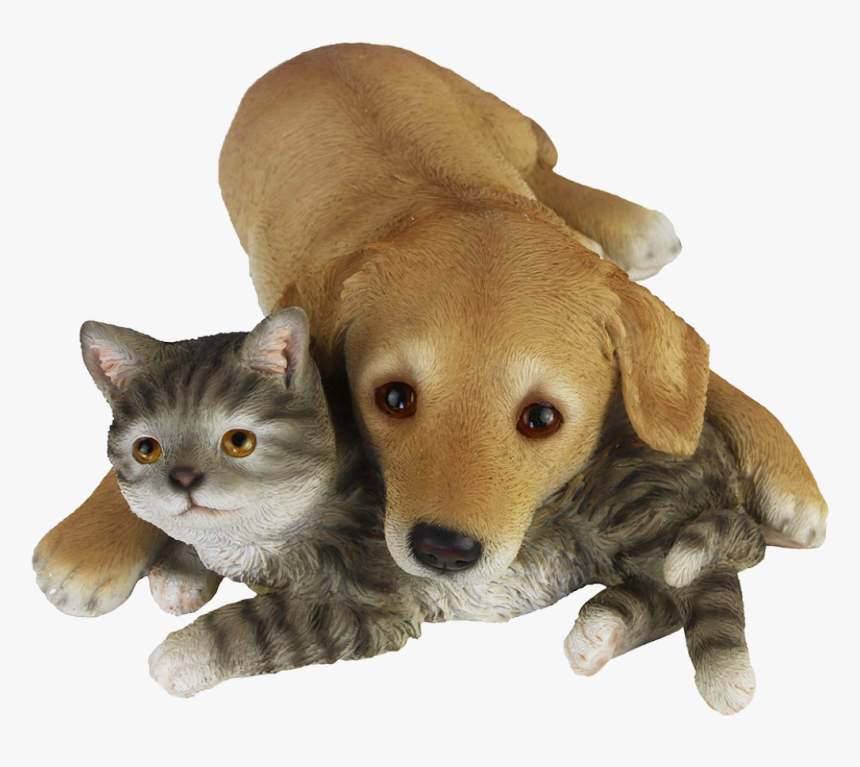 Labrador Pup With Kitten Lying, HD Png Download, Free Download