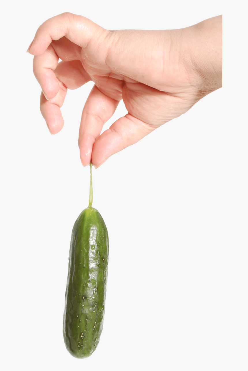 Transparent Cucumber Slice Png - Hand Holding Food Transparent, Png Download, Free Download