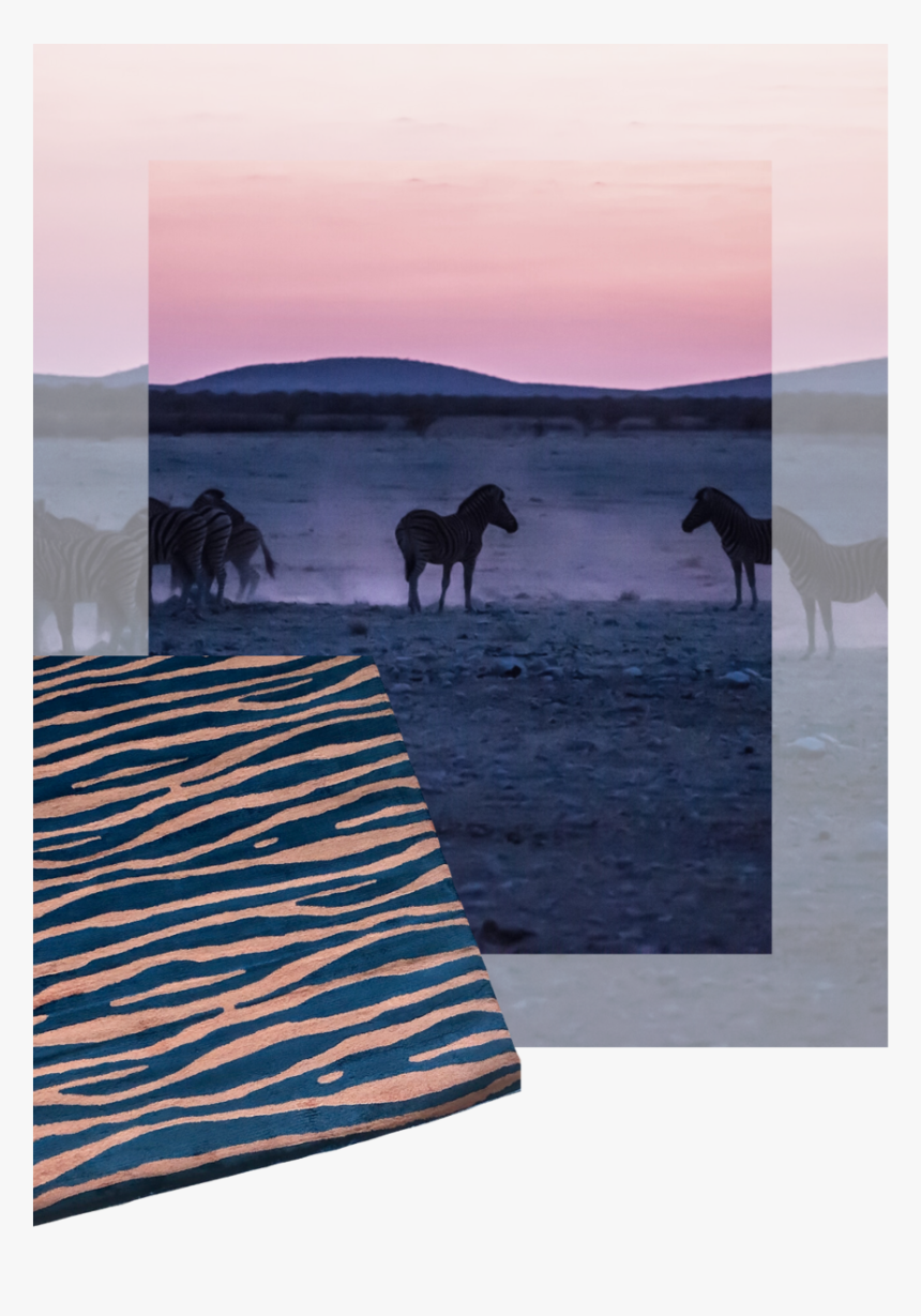 Studio Vacay - Zebra Rug - Wild - Sunset, HD Png Download, Free Download