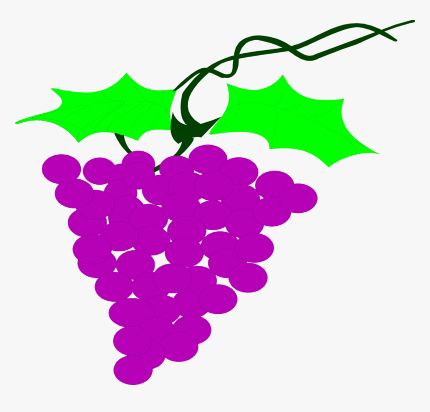 Grapes Free Stock Photo Illustration Of A - Dibujosde Uva Para Niños, HD Png Download, Free Download