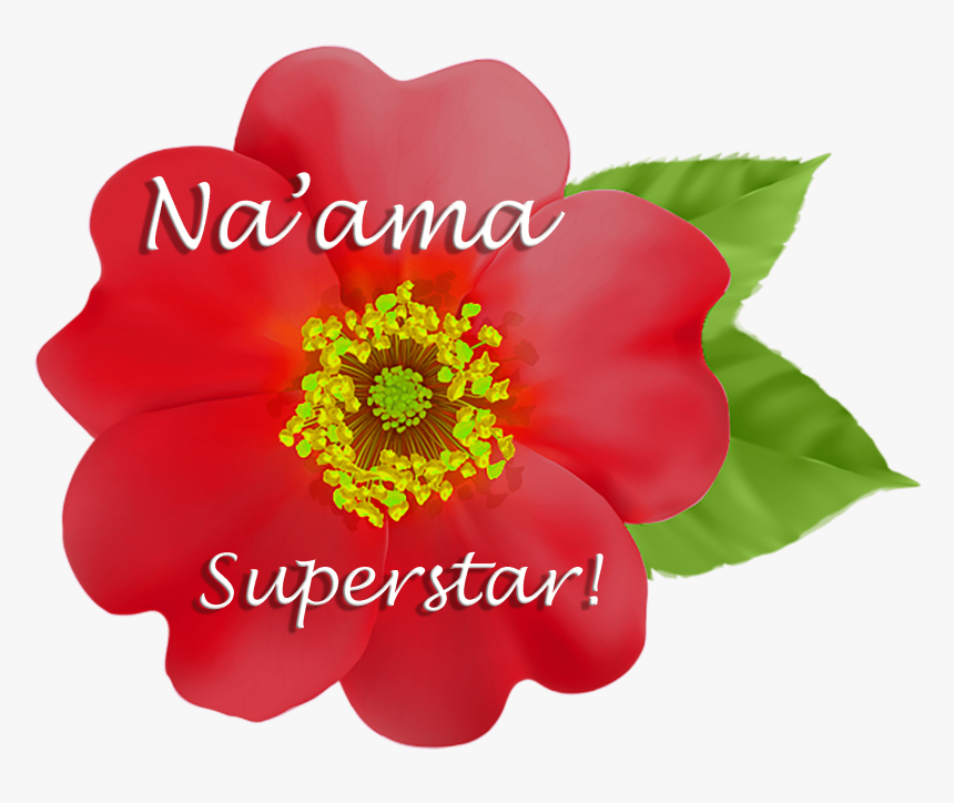 Naama Commendation - Rosa Rubiginosa, HD Png Download, Free Download