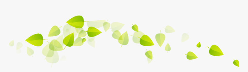 Green Tea Leaves Png , Png Download - Floating Leaves Png Transparent, Png Download, Free Download