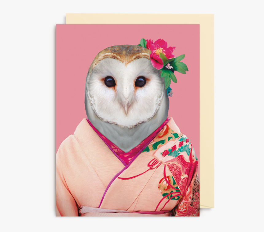 Owl Zoo Portraits, HD Png Download, Free Download