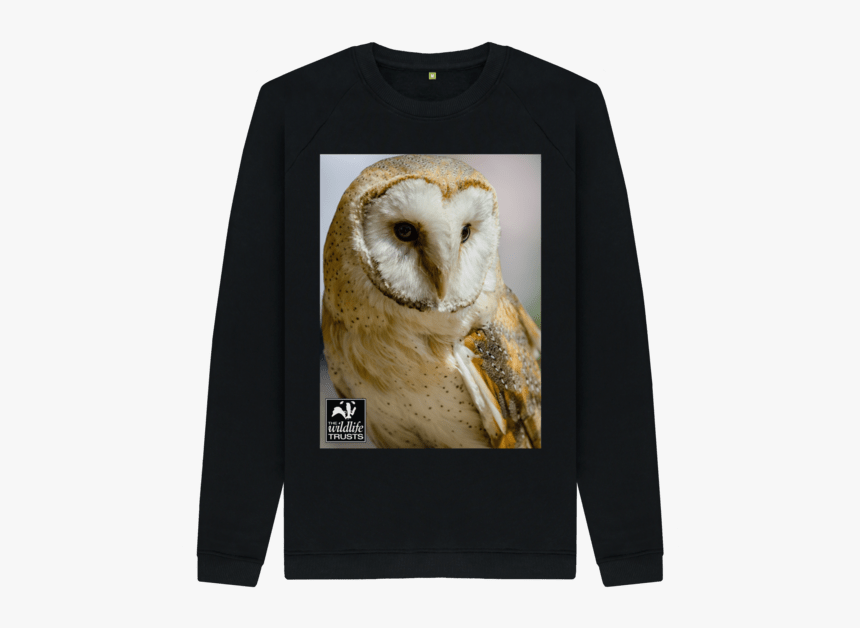 Barn Owl, HD Png Download, Free Download