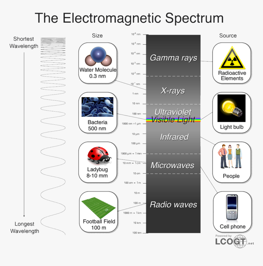 The Smallest Electromagnetic Waves, With Wavelengths - Light Used, HD Png Download, Free Download