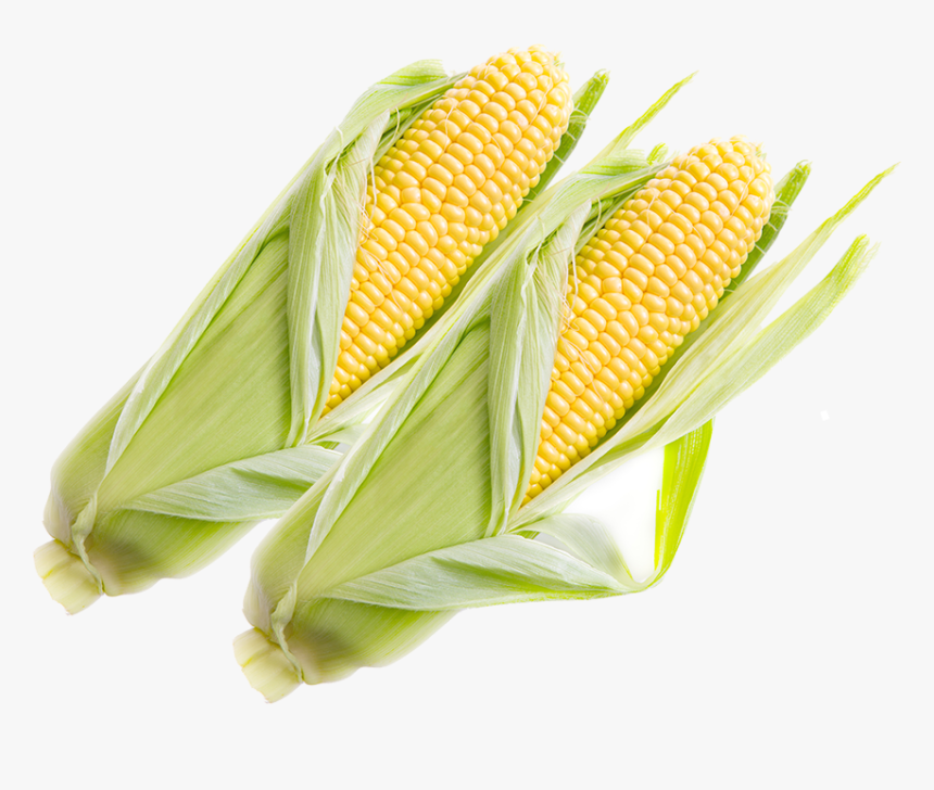 Corn On The Cob, HD Png Download, Free Download