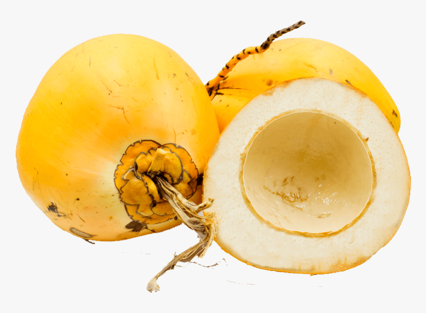 King Coconut, HD Png Download, Free Download