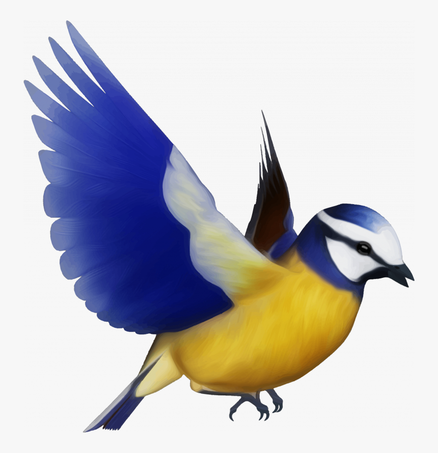 Download This High Resolution Birds Png Clipart - Transparent Bird Png, Png Download, Free Download