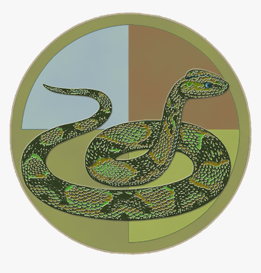 Zodiac Snake , Png Download - Python 从 入门 到 放弃, Transparent Png, Free Download