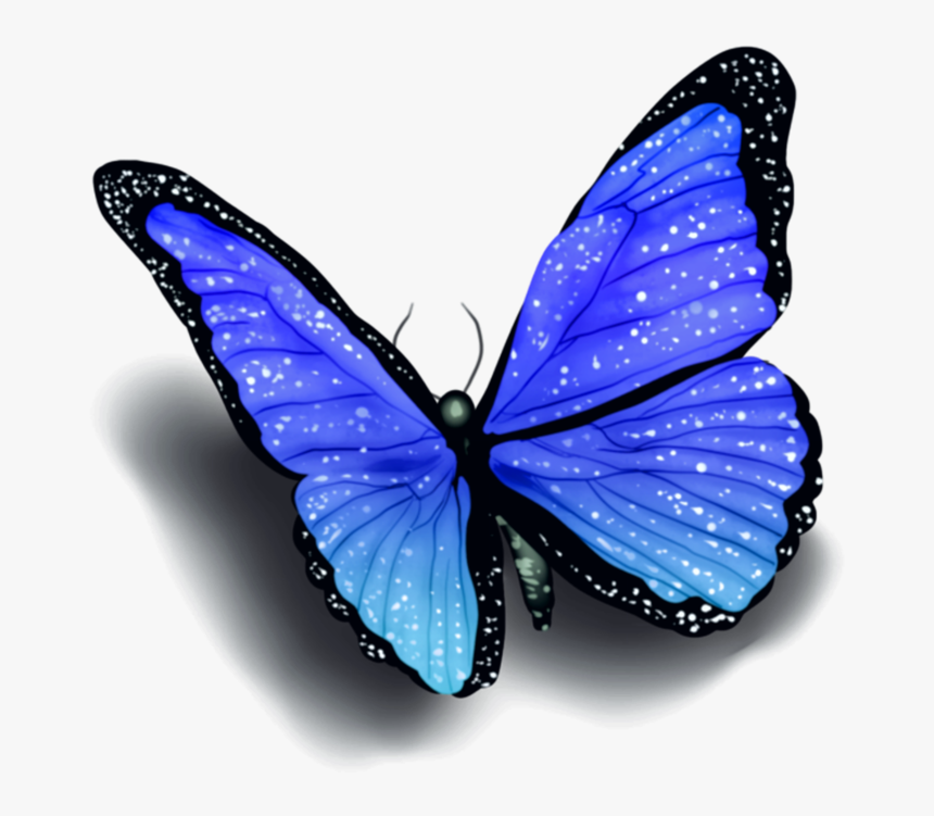 Transparent Butterfly With Shadow, HD Png Download, Free Download