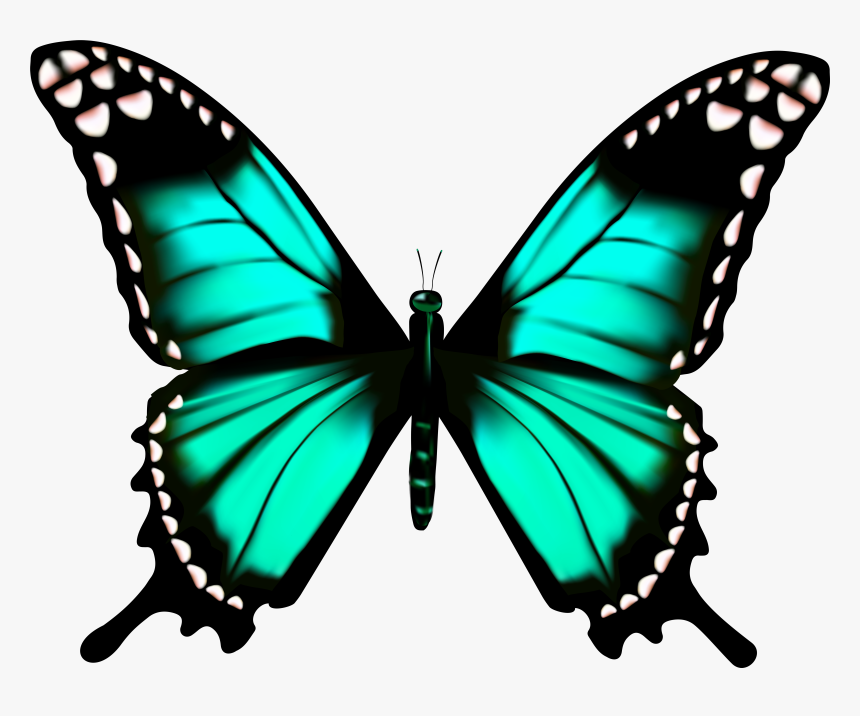 Butterfly Clipart Transparent, HD Png Download, Free Download