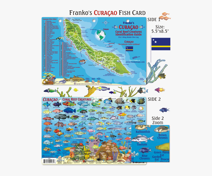 Fish Of Curacao, HD Png Download, Free Download