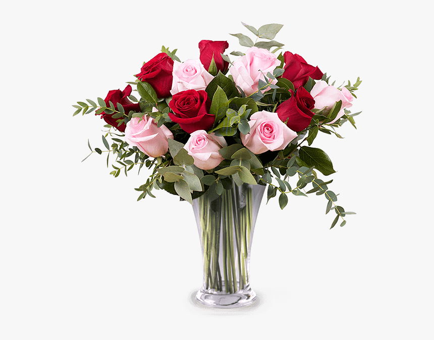 12 Red And Pink Roses - Flower Shop In Pampanga, HD Png Download, Free Download