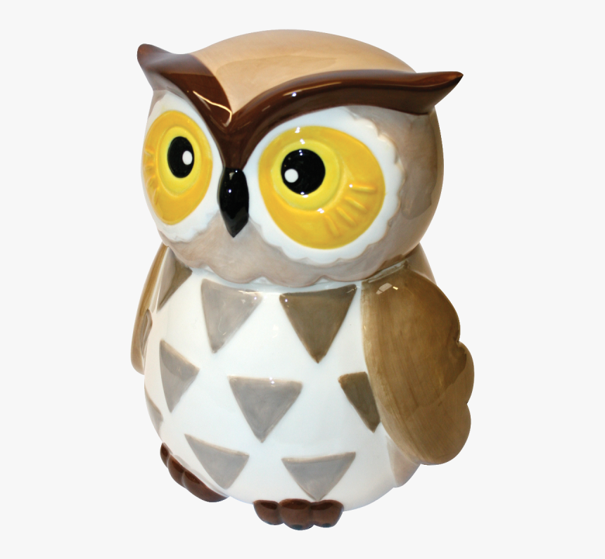 Owl, HD Png Download, Free Download