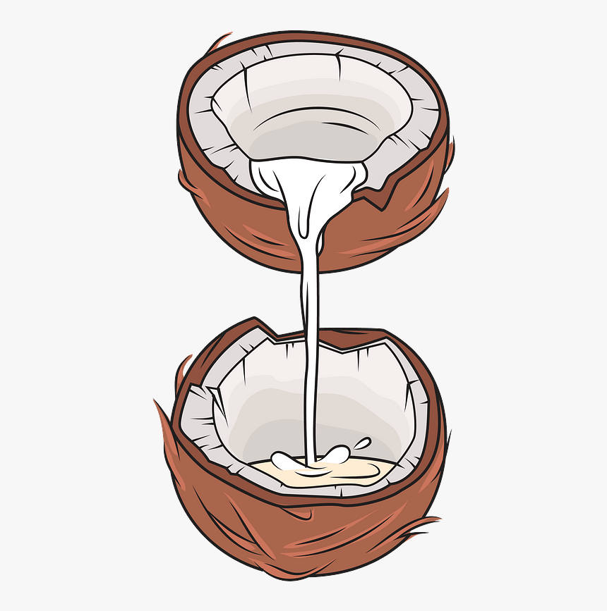 Coconut Milk Clipart - Coconut Clipart, HD Png Download, Free Download