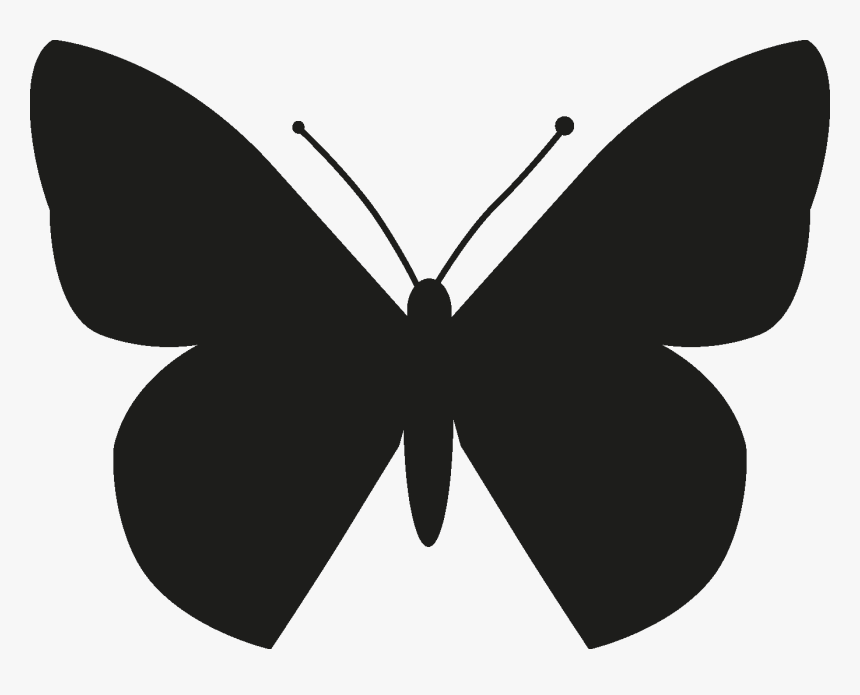 Insects Set [silhouette] Png - Pipevine Swallowtail, Transparent Png, Free Download